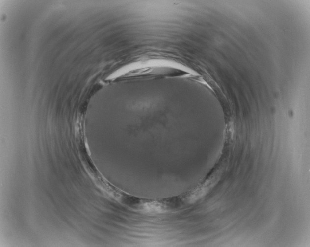 X0000087530423200705112036