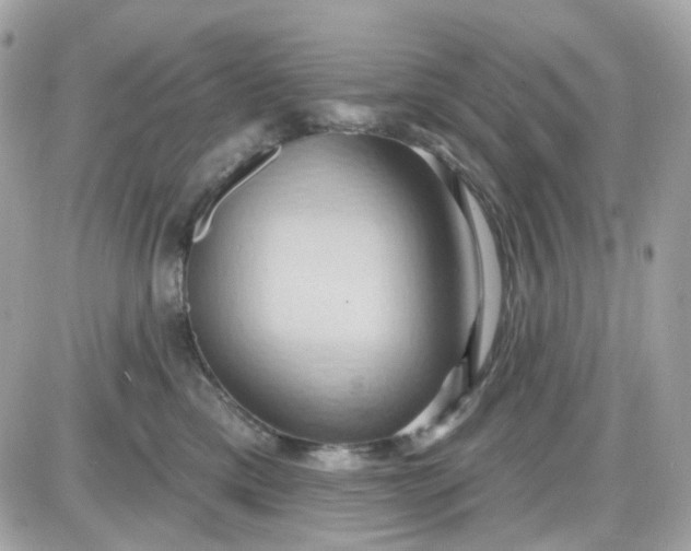 X0000087530425200705112036