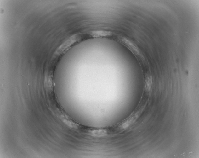 X0000087530426200705112036