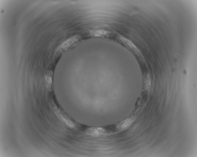 X0000087530427200705112036