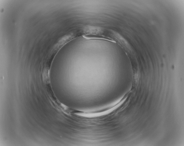 X0000087530429200705112036