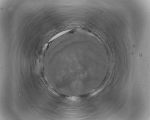 X0000087530432200705112036