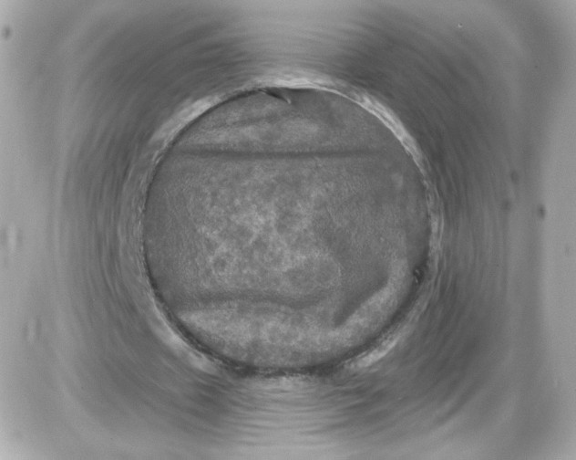 X0000087530433200705112035