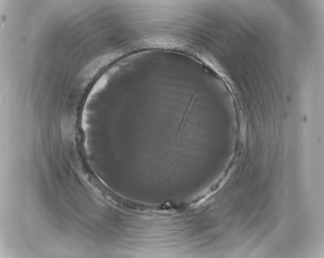 X0000087530434200705112035