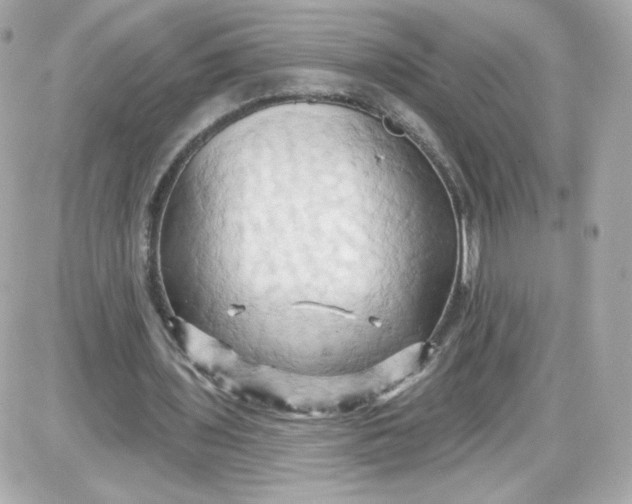 X0000087530435200705112035