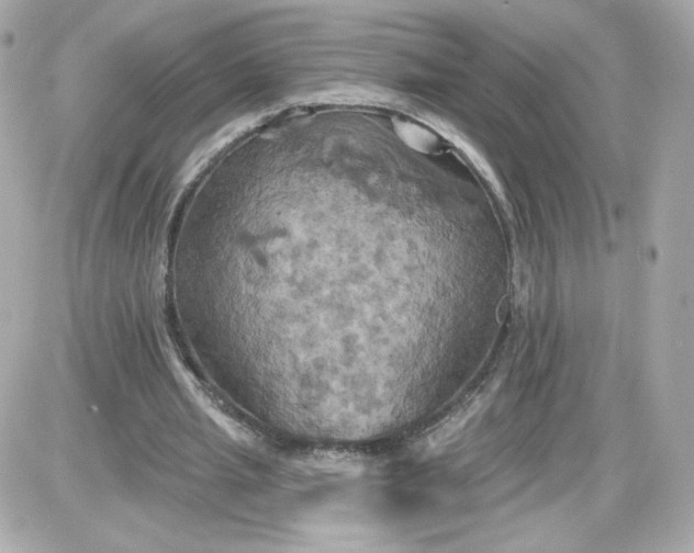 X0000087530437200705112035