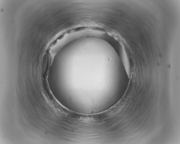 X0000087530440200705112035