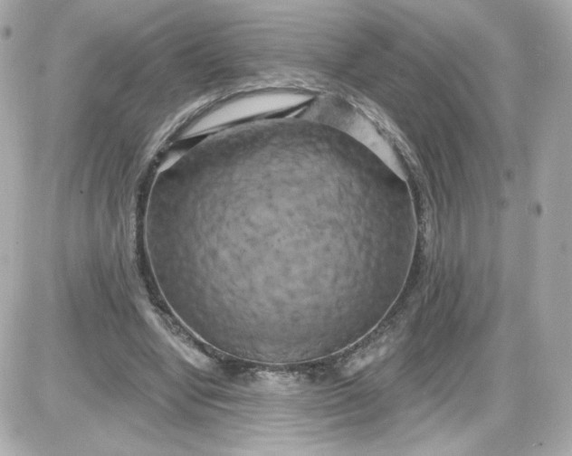 X0000087530442200705112035