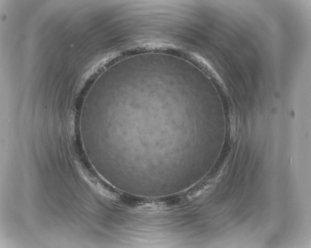 X0000087530447200705112035