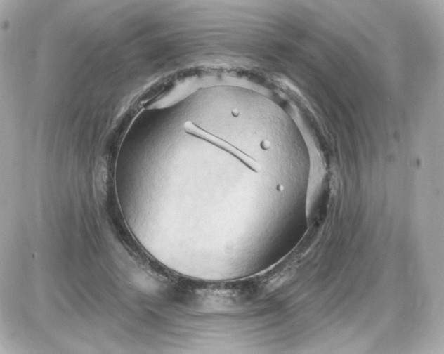 X0000087530448200705112035