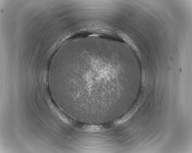 X0000087530449200705112035