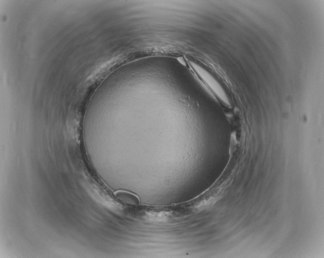 X0000087530450200705112035