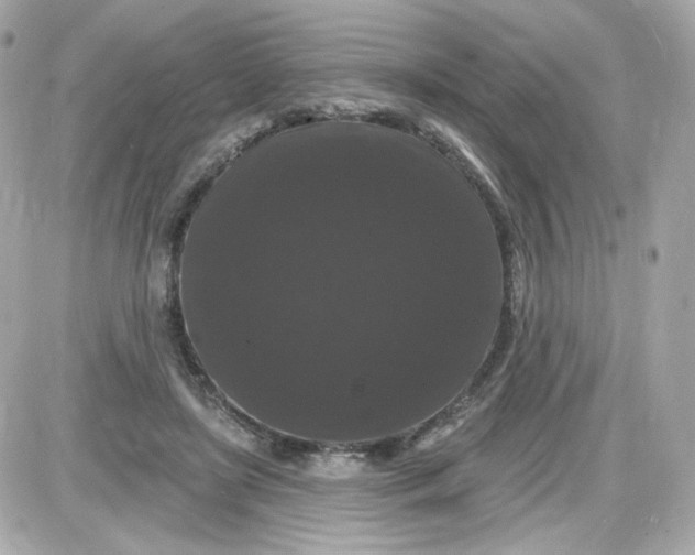 X0000087530451200705112035