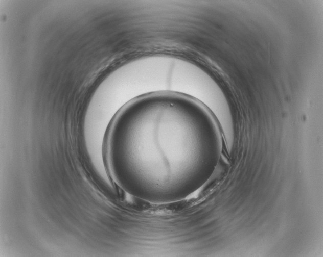 X0000087530452200705112035