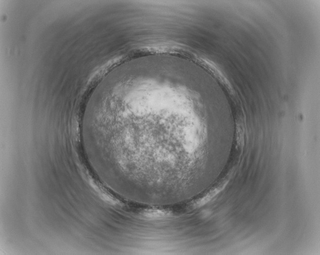 X0000087530453200705112035