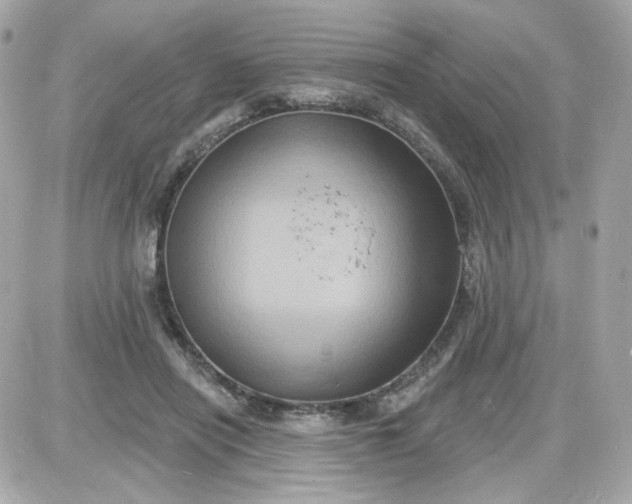 X0000087530454200705112035