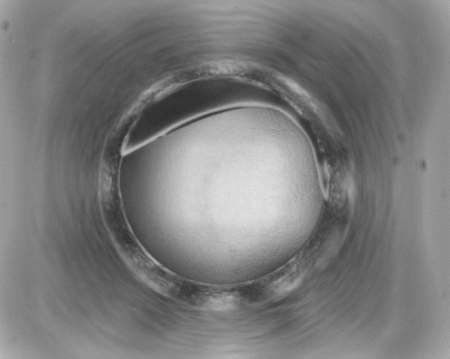 X0000087530456200705112035