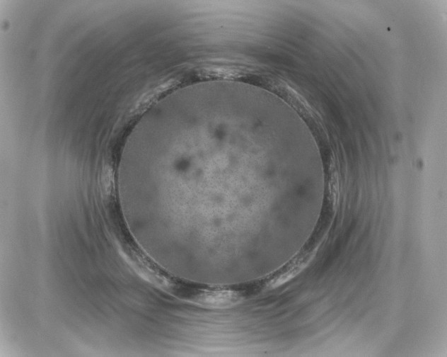 X0000087530459200705112035