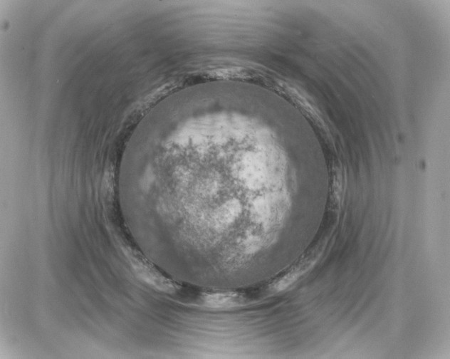 X0000087530461200705112036