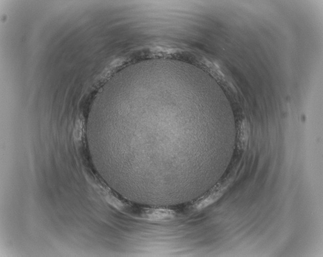 X0000087530463200705112036