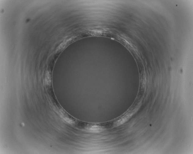 X0000087530467200705112036