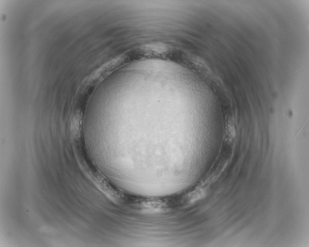 X0000087530468200705112036