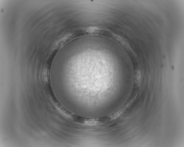 X0000087530470200705112036