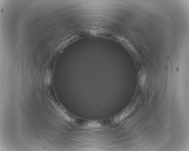 X0000087530471200705112036