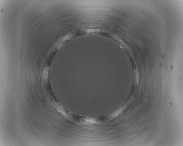 X0000087530475200705112036