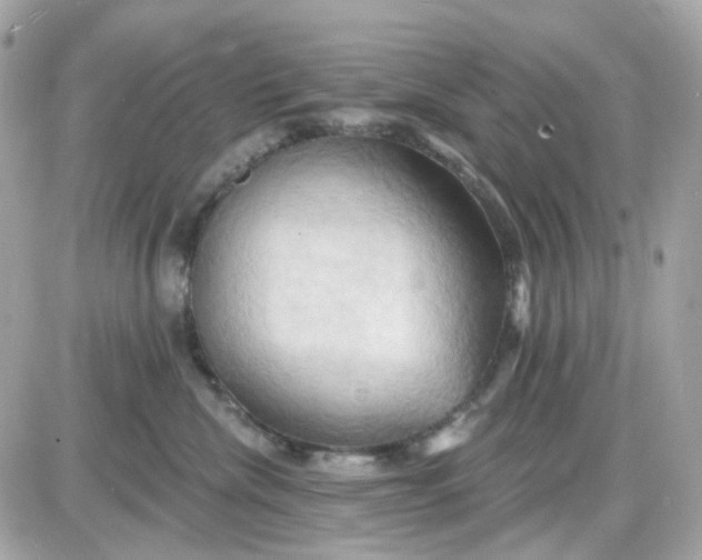 X0000087530476200705112036