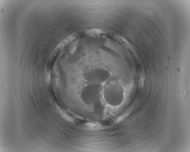 X0000087530477200705112036