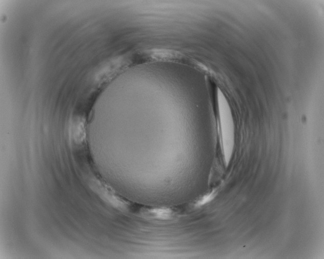 X0000087530478200705112036