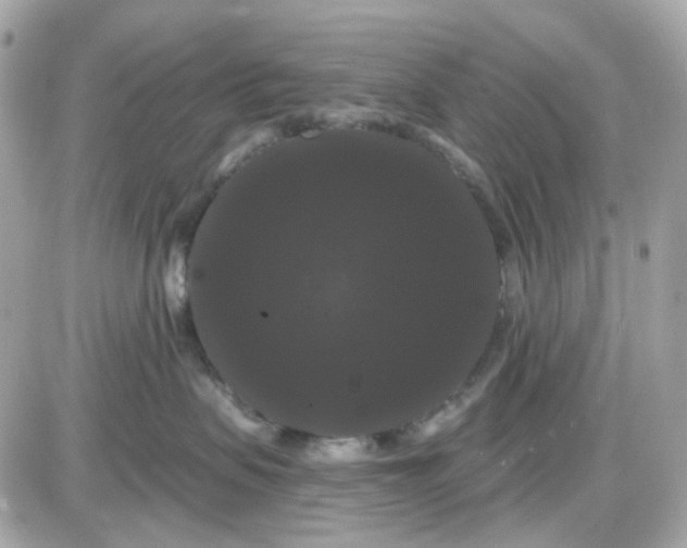 X0000087530479200705112036