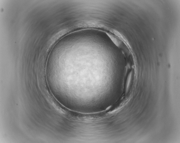 X0000087530481200705112035