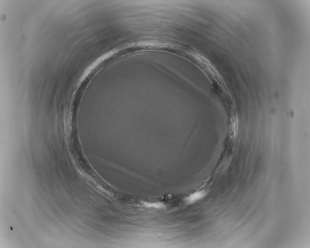 X0000087530484200705112035