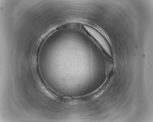 X0000087530485200705112035