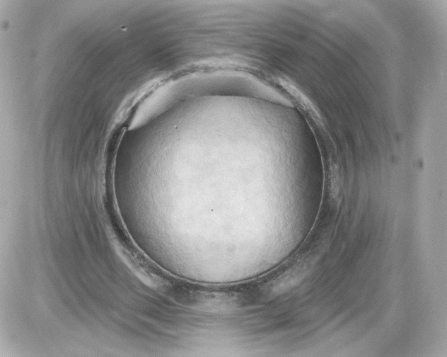 X0000087530486200705112035