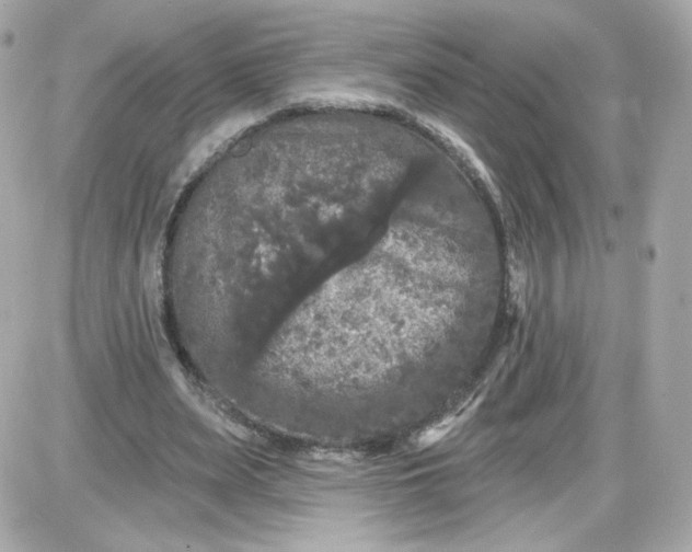 X0000087530487200705112035