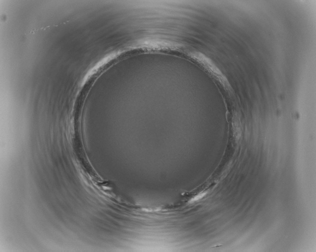 X0000087530488200705112035