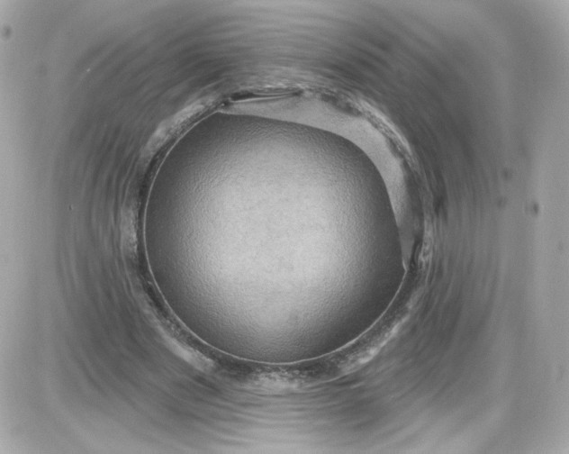 X0000087530489200705112035