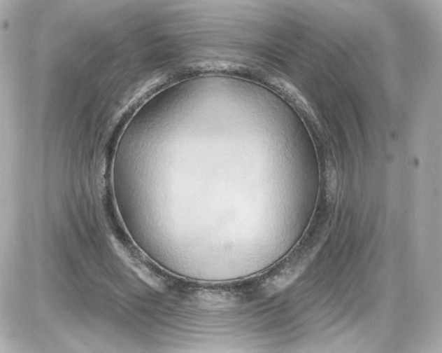 X0000087530490200705112035