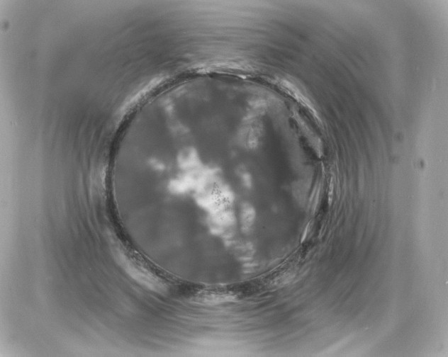 X0000087530491200705112035