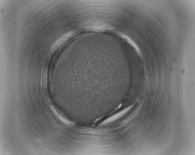 X0000087530493200705112035