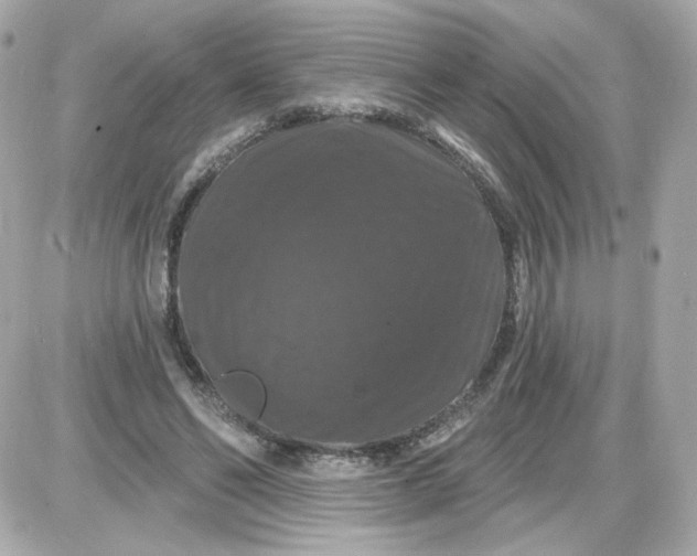 X0000087530494200705112035