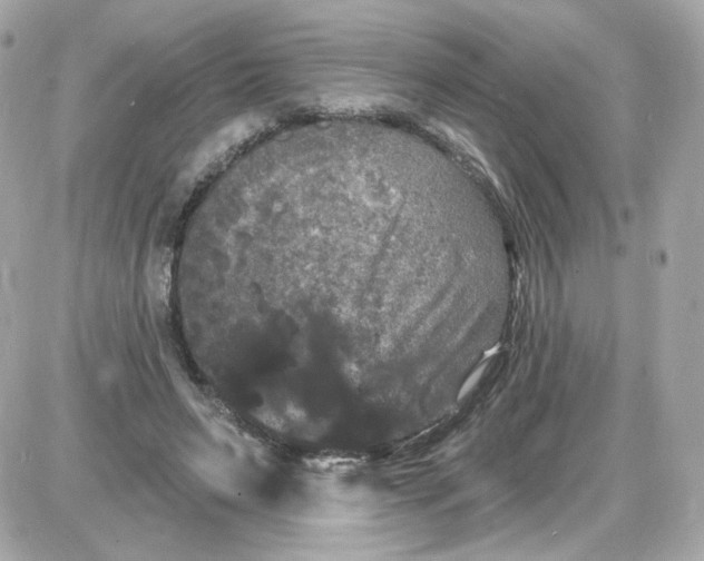 X0000087530495200705112035