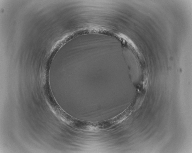 X0000087530496200705112035