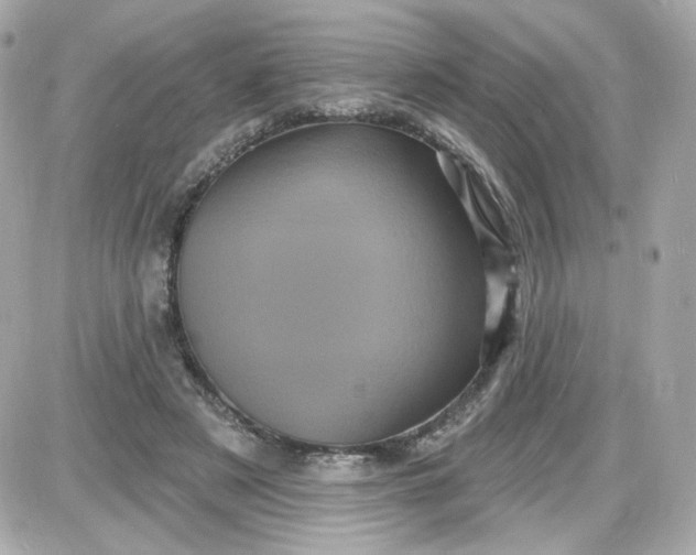 X0000087530497200705112035