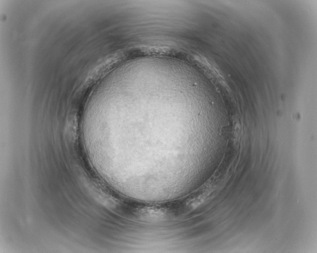 X0000087530498200705112035