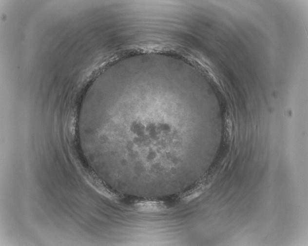 X0000087530499200705112035