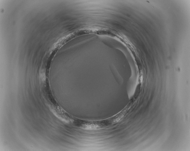 X0000087530500200705112035